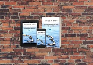 forever free selar.com 67bc566094515